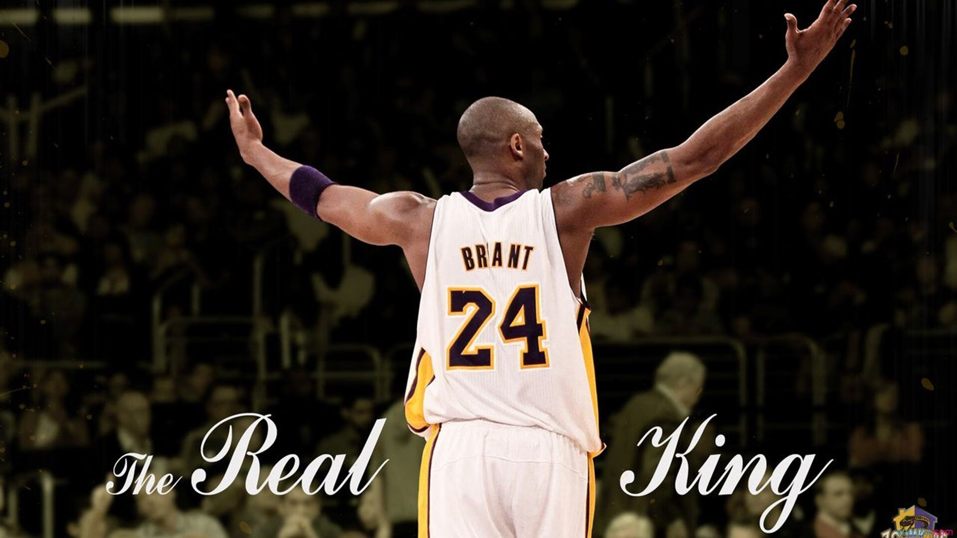 未来足球：智能场馆实现全面能源管理，绿色低碳新时代到来，智能场馆的策划