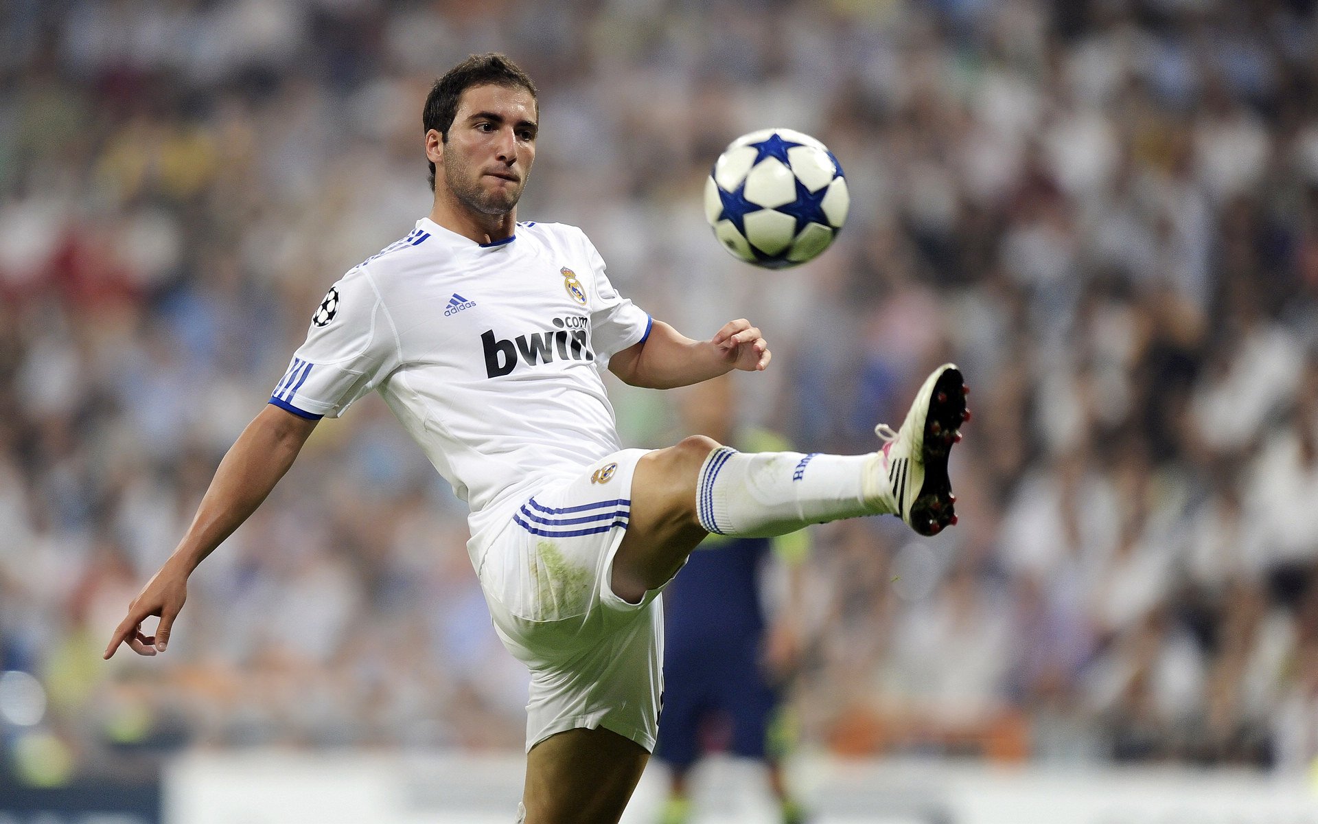 波波维奇决赛表现赢得教练高度评价，波波维奇集锦