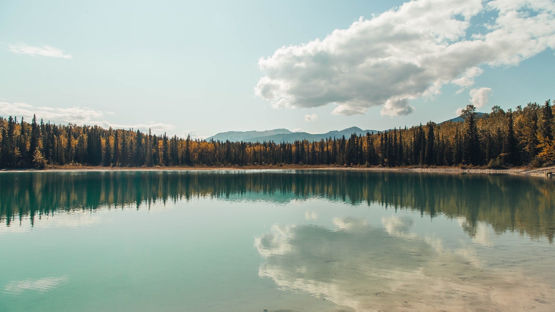开云体育官方网站-《英雄联盟线上线下联动，全球总决赛盛大开启》，lol线上线下是什么意思