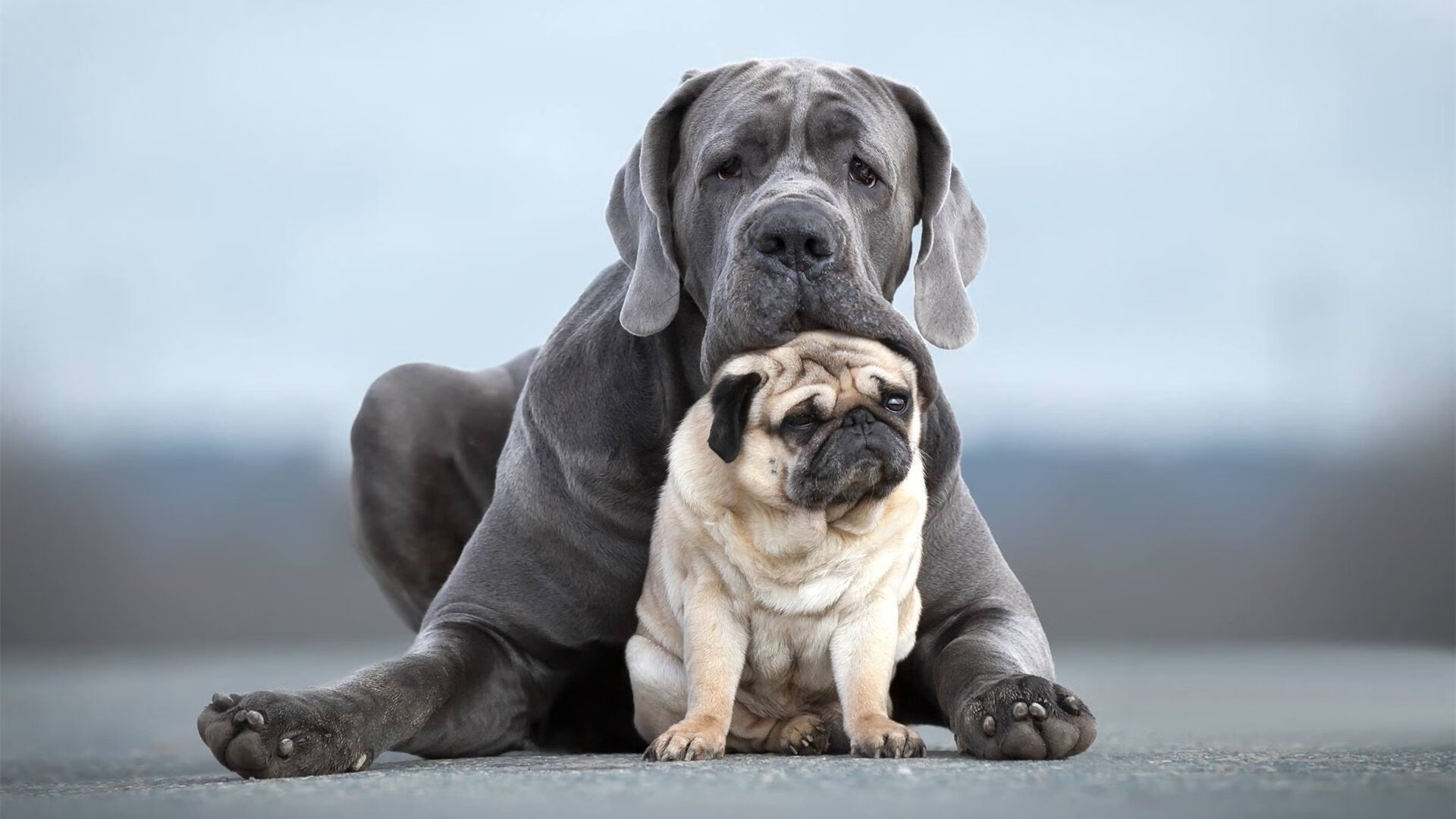 开云平台-哥伦比亚队在巴黎奥运会比赛中展现出强大的远射能力，奥运会神仙颜值哥伦比亚