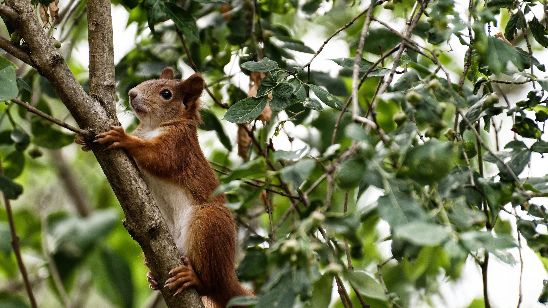 数字化青训学习系统在全国推广，提升青少年训练效率，数字青少年宫首页