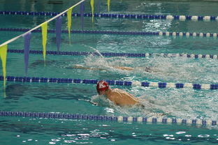 开云娱乐-张雨霏自由泳接力助队夺冠，张雨霏自由泳接力助队夺冠了吗